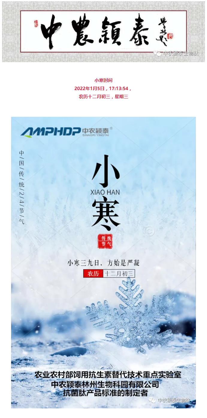 2022年（第2期）：小寒今日至，年味已冒頭_01