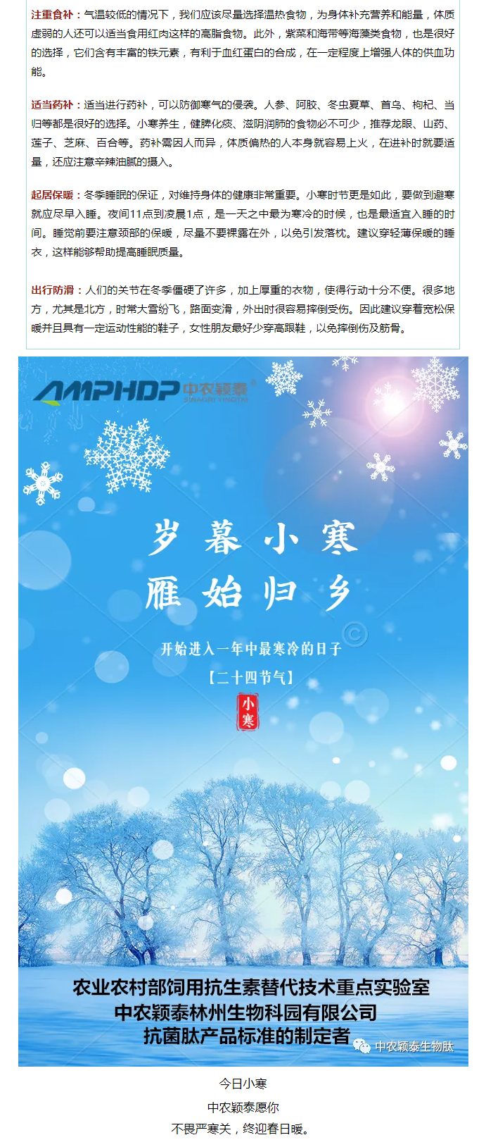 2022年（第2期）：小寒今日至，年味已冒頭_04
