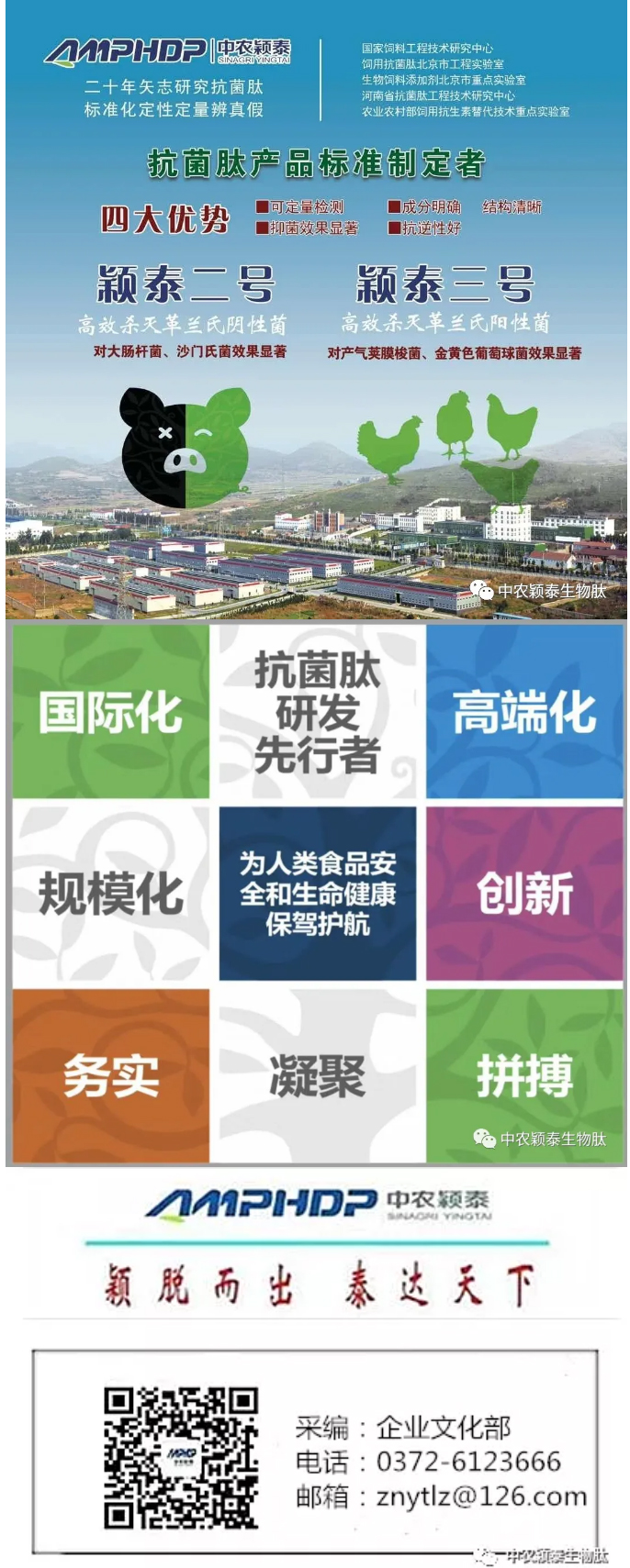 2022年（第5期）：大寒：愿您安暖幸福，歲歲平安_08