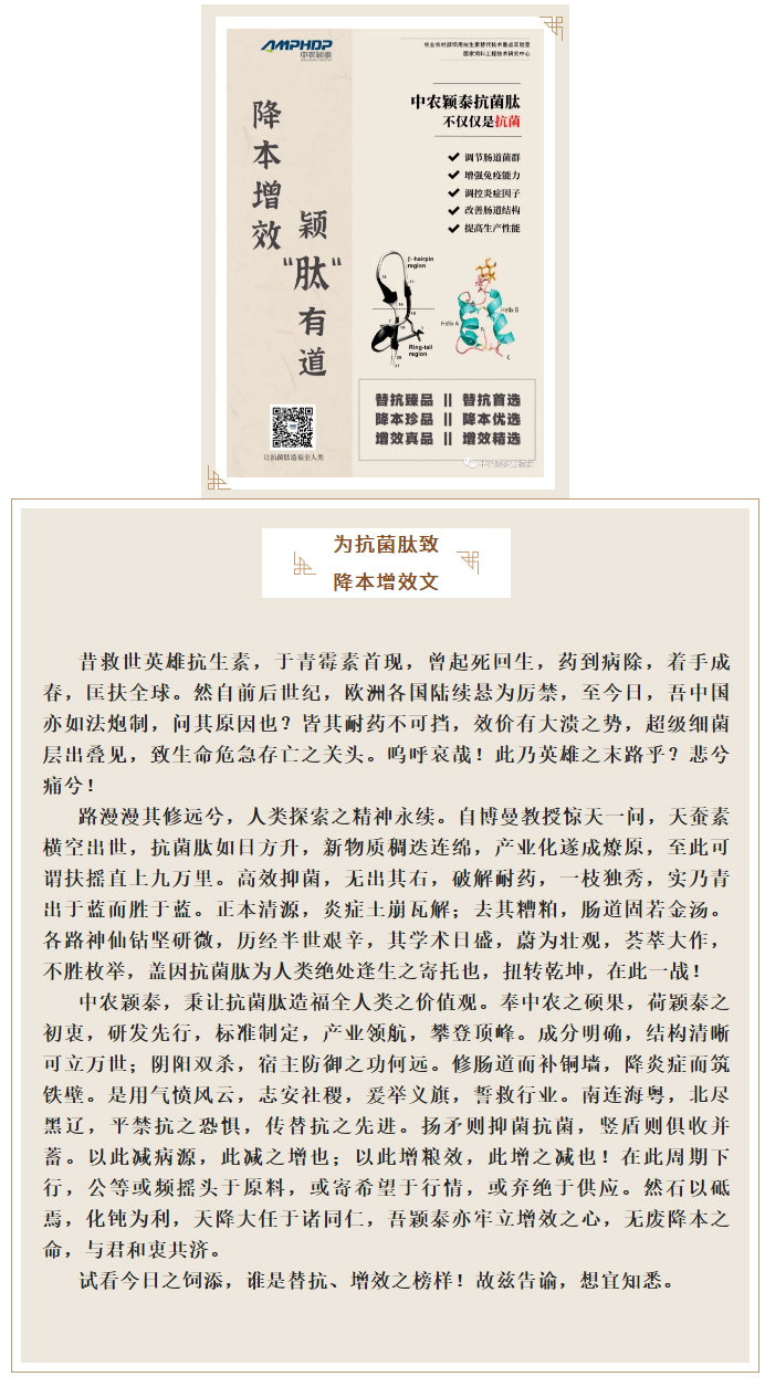 降本增效，穎“肽”有道——抗菌肽降低飼料營養(yǎng)水平應用方案_01