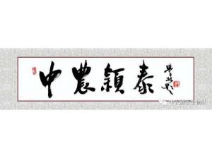 2021年：工作動態(tài)，中農(nóng)穎泰工會順利換屆