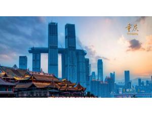 中農(nóng)穎泰集團助力2021·太陽鳥論壇盛大開幕！