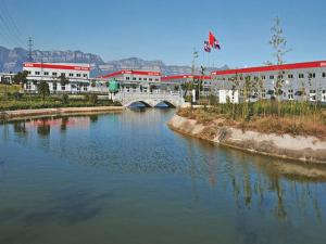 Second phase plant