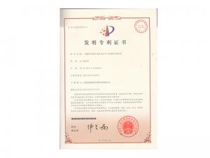 Invention patent